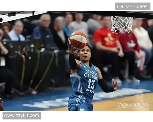 风暴与梦想篮球实力对比谁能在赛场上更胜一筹