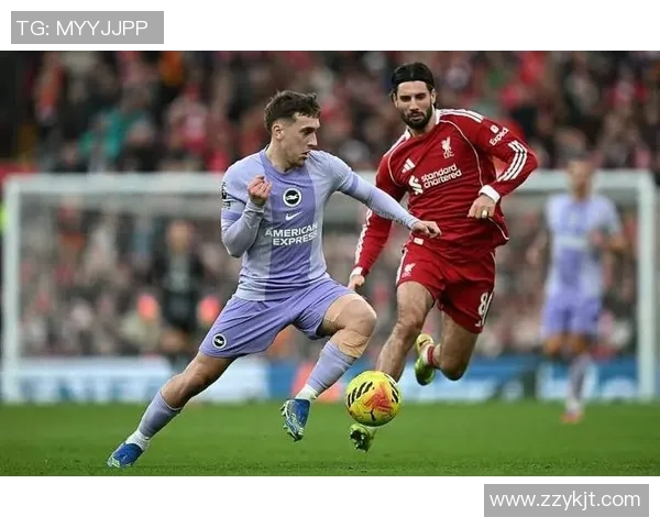 探索索博斯洛伊的历史与文化魅力,揭示其在现代社会中的重要意义 探索索博斯洛伊的历史与文化魅力,揭示其在现代社会中的重要意义